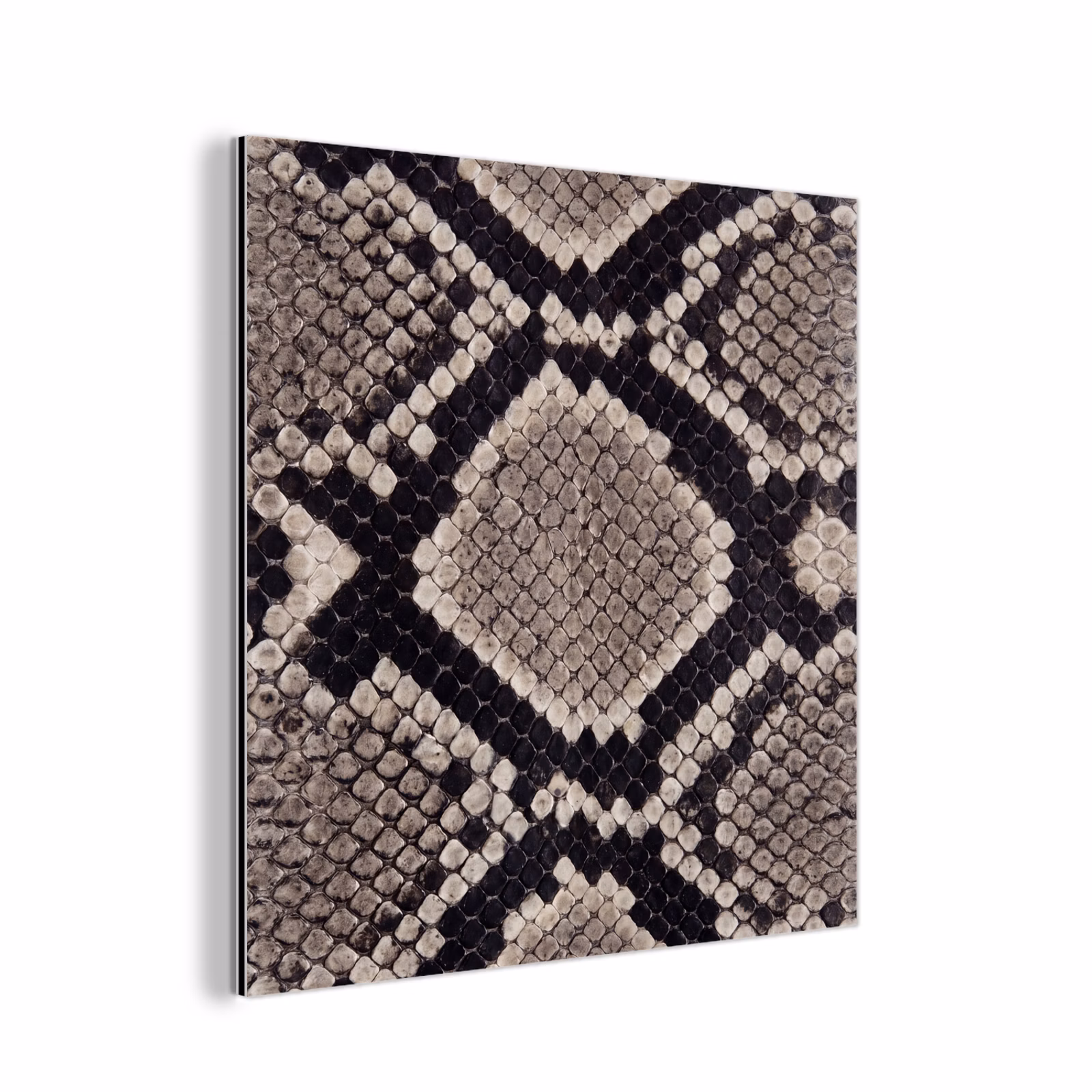 Aluminium schilderij - Slangenleer - Patroon - Beige — 1