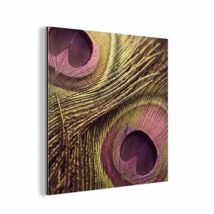 Aluminium schilderij - Pauw - Veren - Paars - Groen — 1