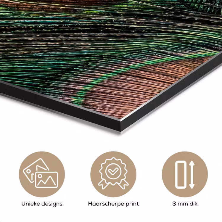 Aluminium schilderij - Pauwenveren - Klassiek - Groen — 7