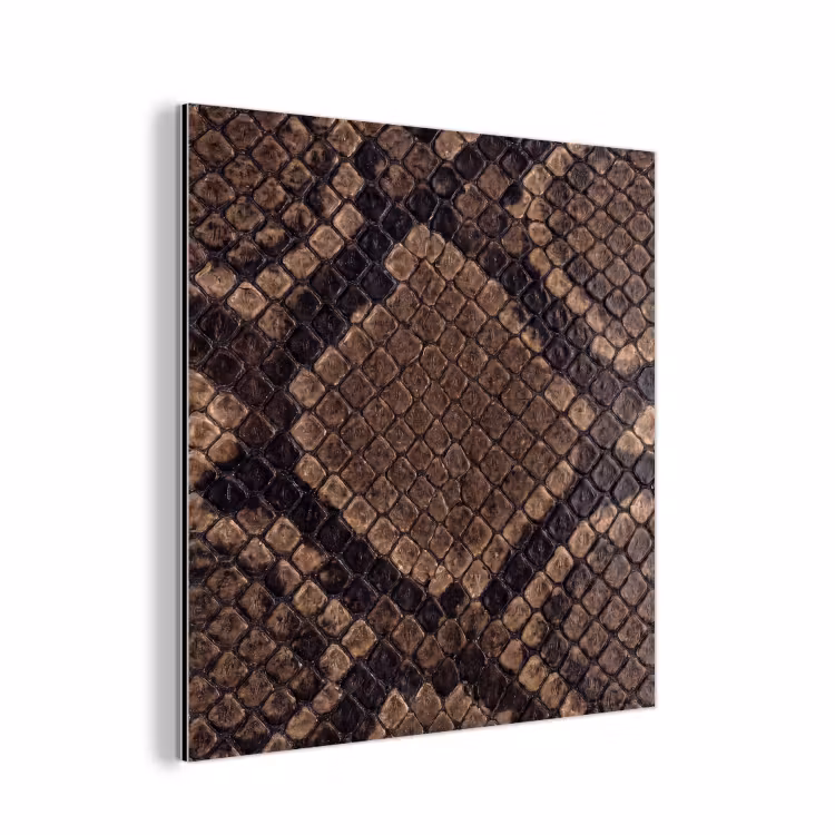 Aluminium schilderij - Python - Schubben - Brons — 1