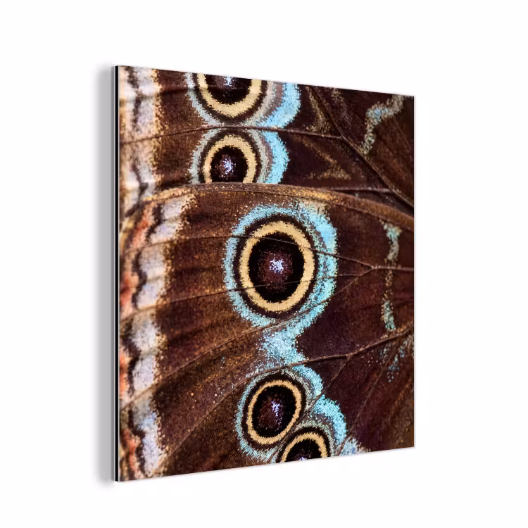 Aluminium schilderij - Vleugels - Vlinder - Blauw — 1