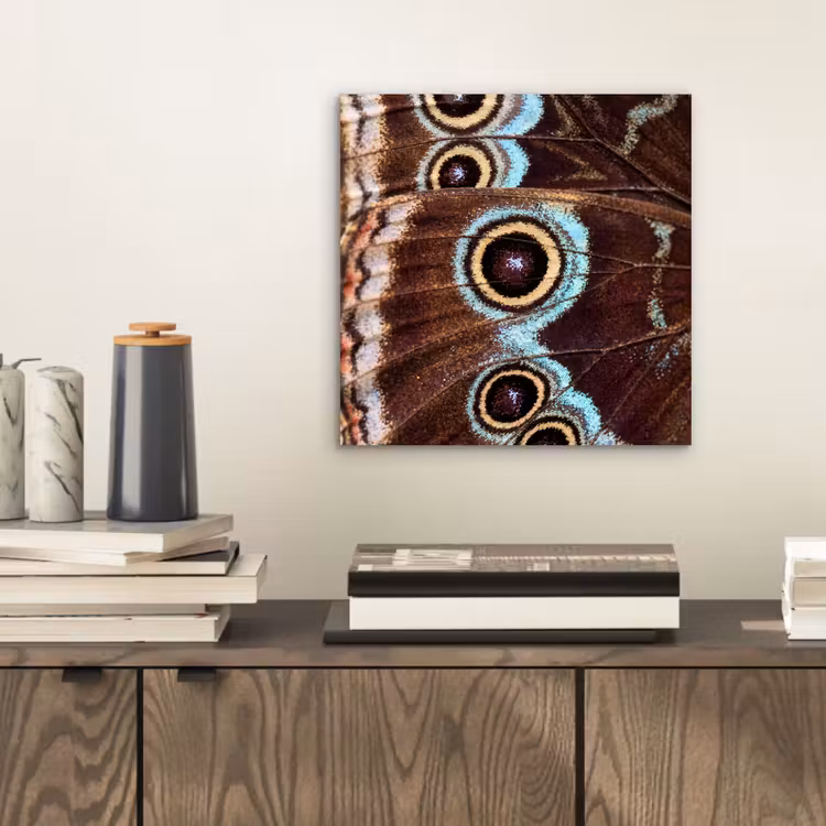 Aluminium schilderij - Vleugels - Vlinder - Blauw — 2
