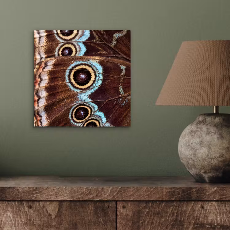 Aluminium schilderij - Vleugels - Vlinder - Blauw — 3