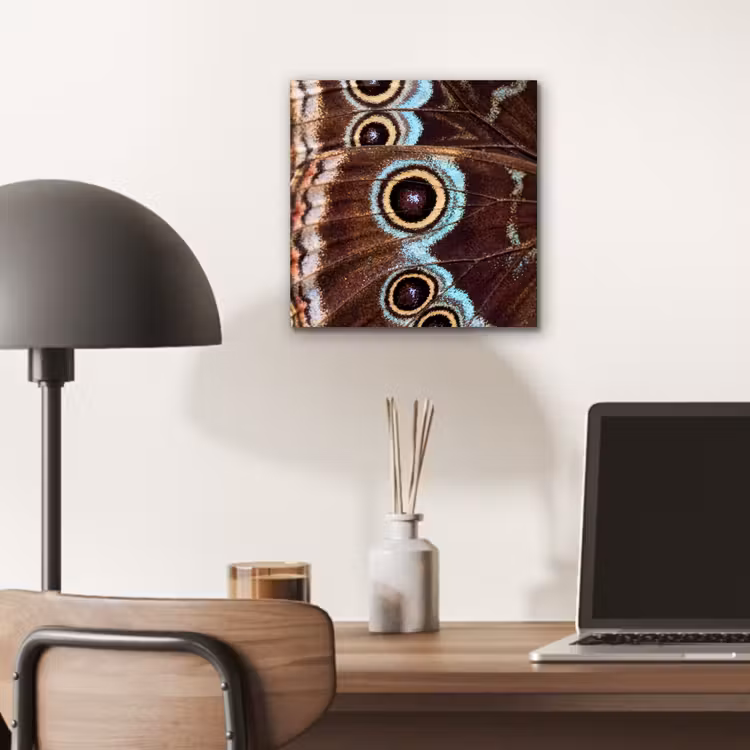 Aluminium schilderij - Vleugels - Vlinder - Blauw — 6