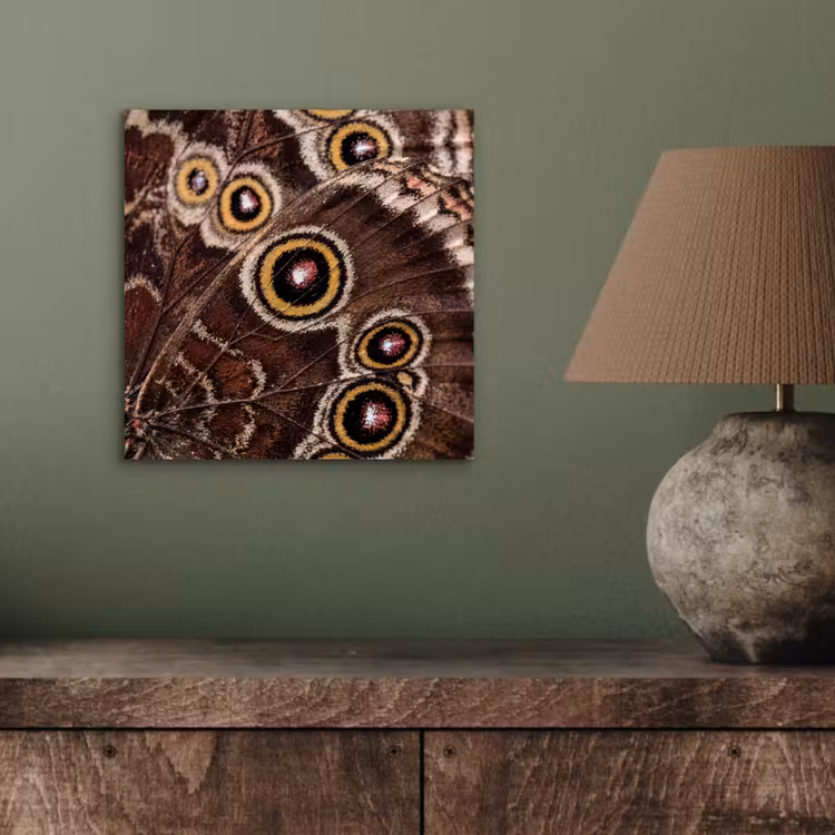 Aluminium schilderij - Vlinder - Vleugel - Abstract — 3