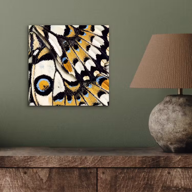Aluminium schilderij - Vlinder - Vleugel - Geel — 3