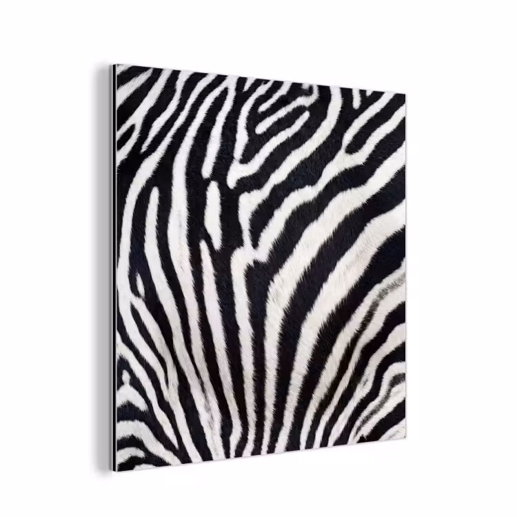 Aluminium schilderij - Zebra - Vacht - Klassiek - Zwart - Wit — 1
