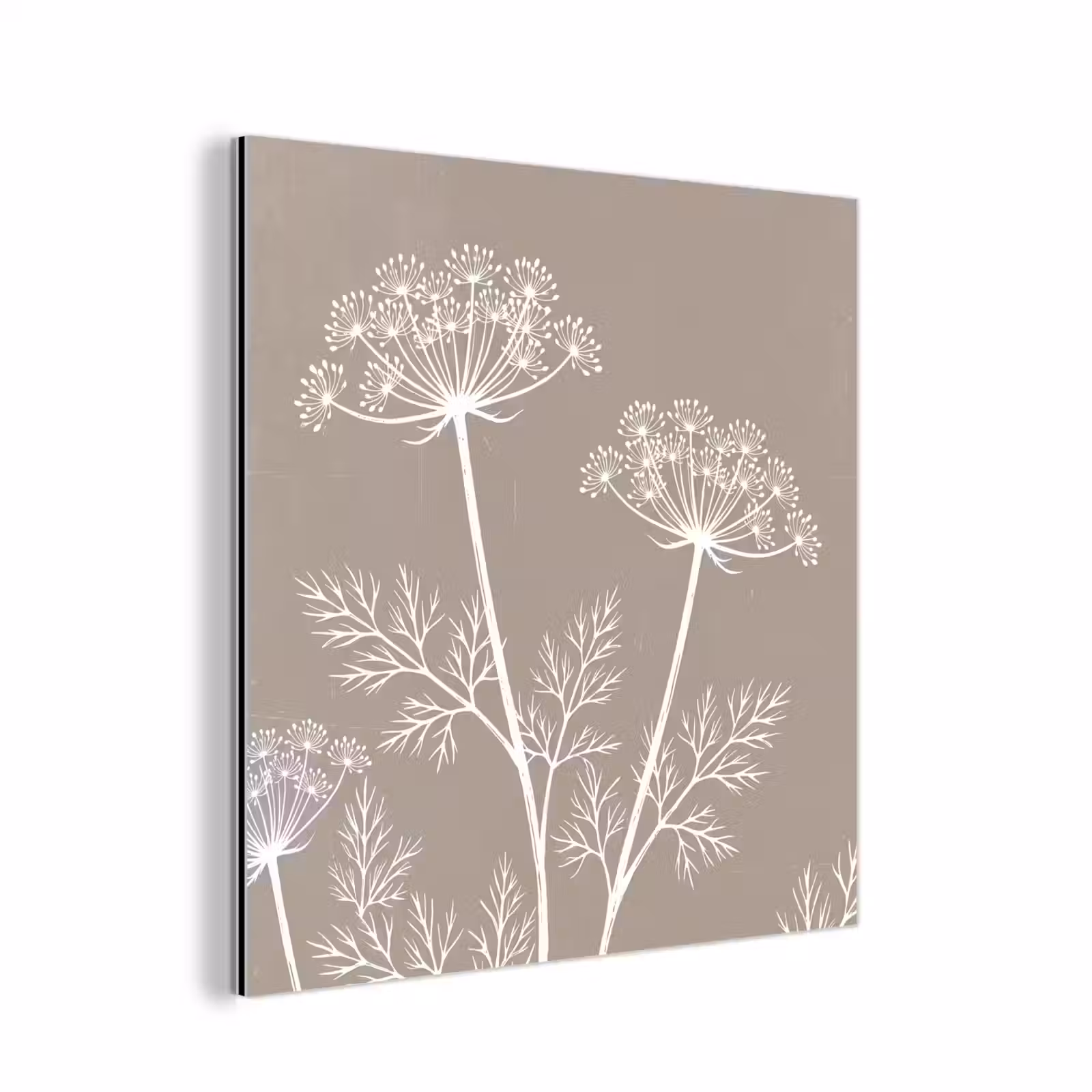 Aluminium schilderij - Grafisch - Fluitenkruid - Taupe — 1