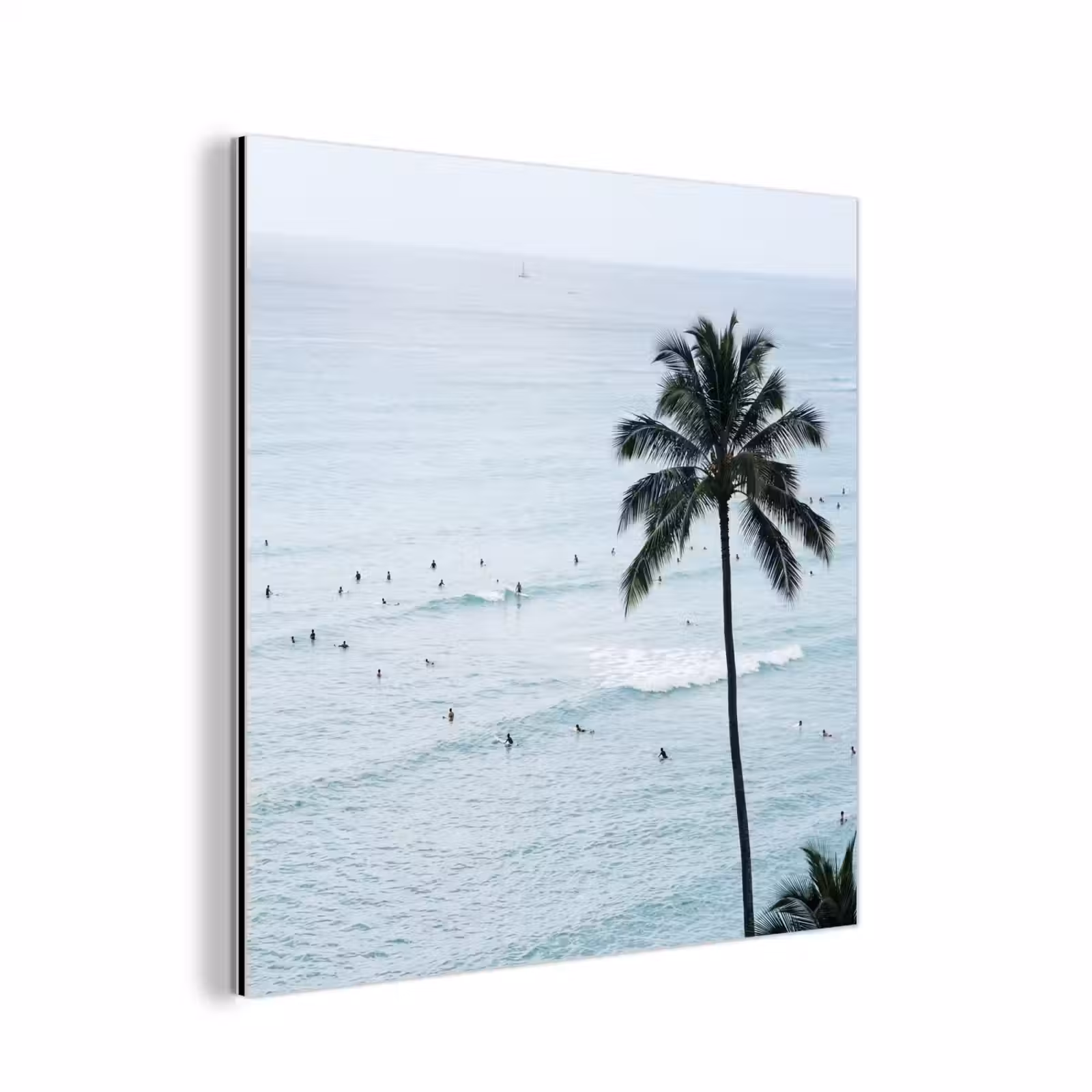 Aluminium schilderij - Oceaan - Palmbomen - Surfers — 1