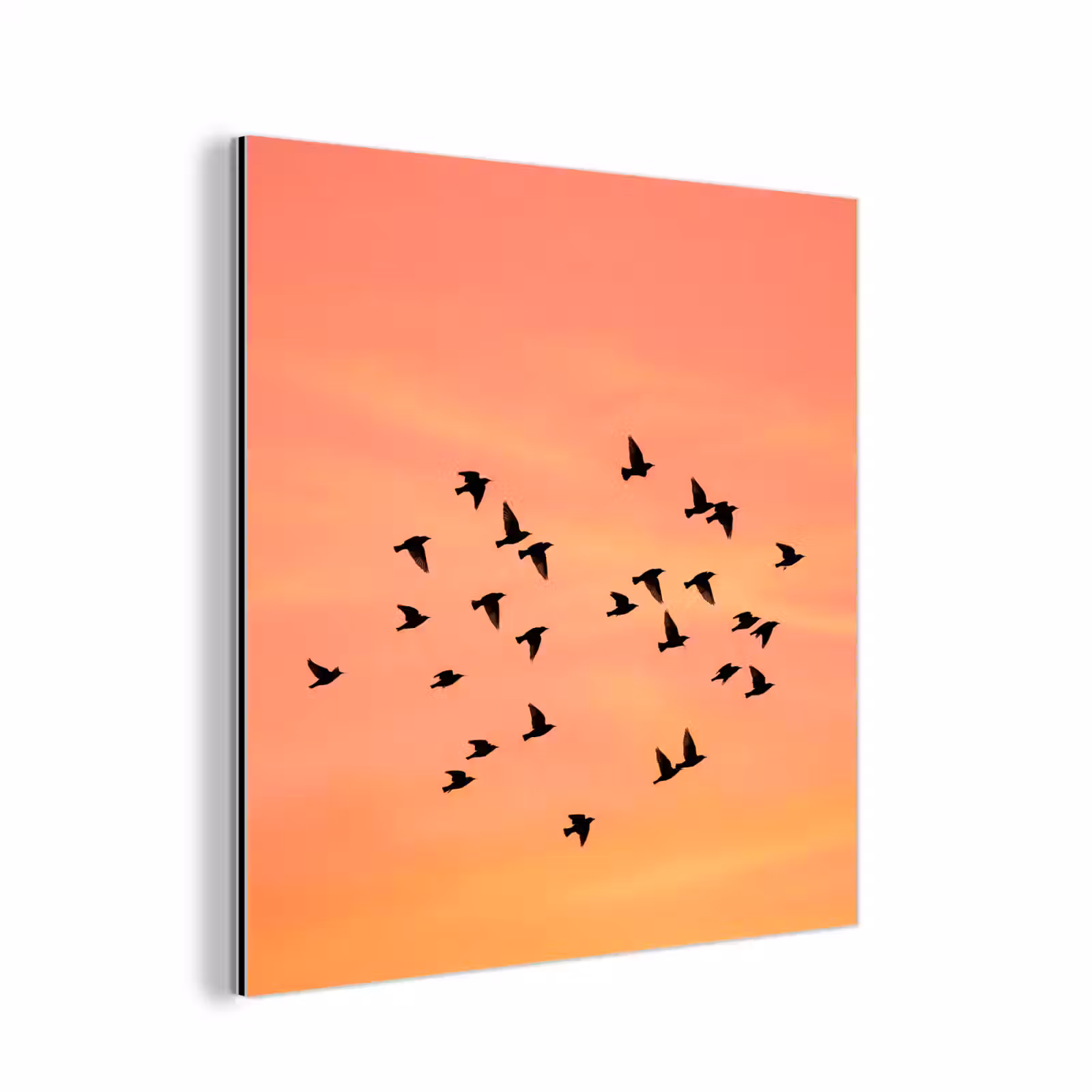 Aluminium schilderij - Zwerm - Vogels - Oranje — 1