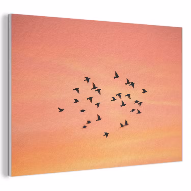 Akoestisch schilderij - Zwerm - Vogels - Oranje — 1