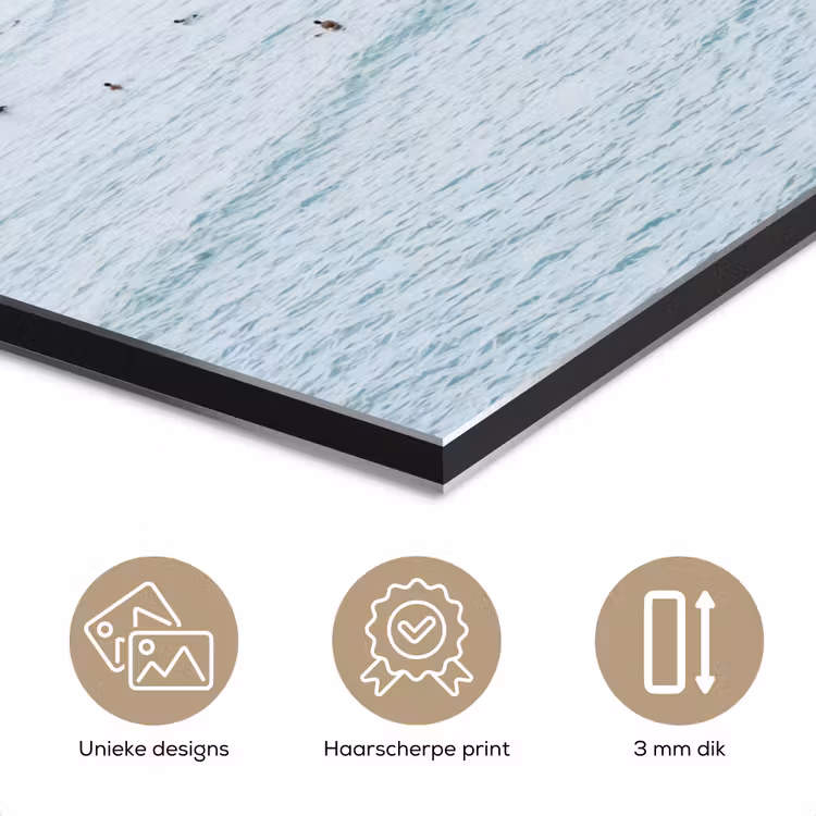 Aluminium schilderij - Oceaan - Palmbomen - Surfers — 7