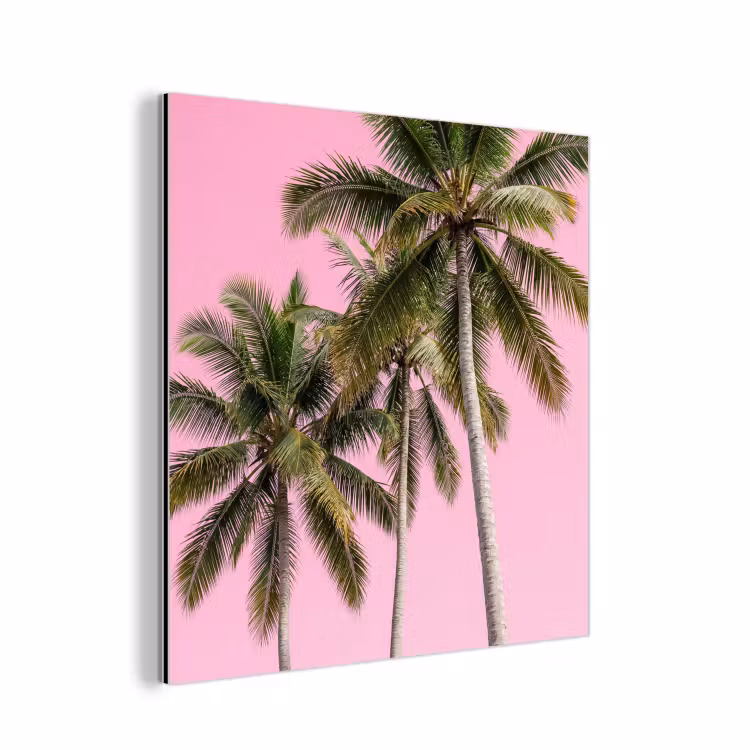 Aluminium schilderij - Palmboom - Tropisch - Pink — 1