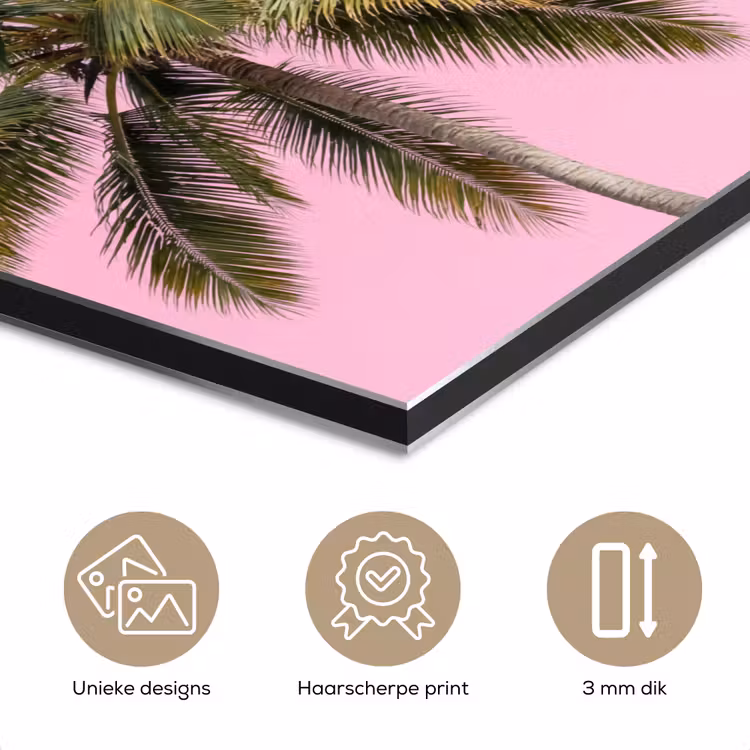Aluminium schilderij - Palmboom - Tropisch - Pink — 7
