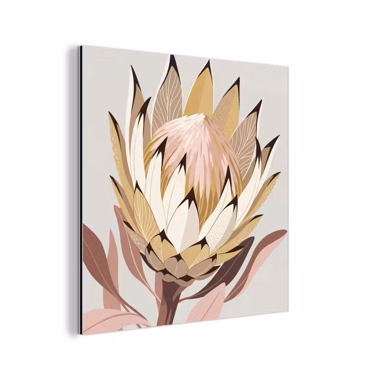 Aluminium schilderij - Protea - Bloem - Botanisch - Beige — 1