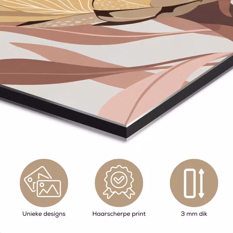 Aluminium schilderij - Protea - Bloem - Botanisch - Beige — 7