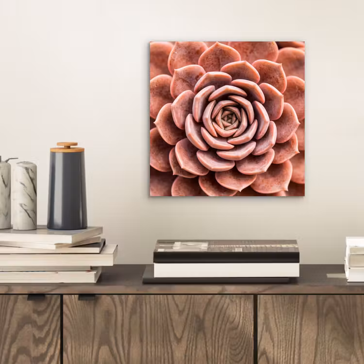 Aluminium schilderij - Vetplant - Organisch - Roze — 2