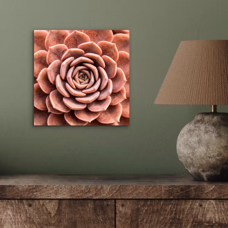 Aluminium schilderij - Vetplant - Organisch - Roze — 3