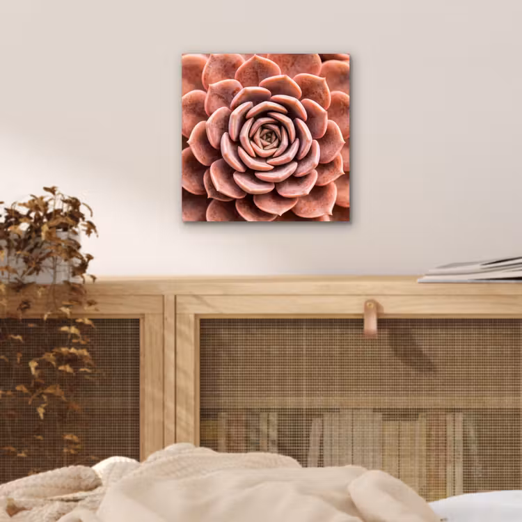 Aluminium schilderij - Vetplant - Organisch - Roze — 4