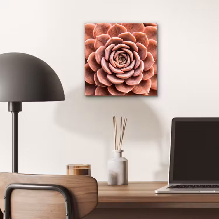 Aluminium schilderij - Vetplant - Organisch - Roze — 6