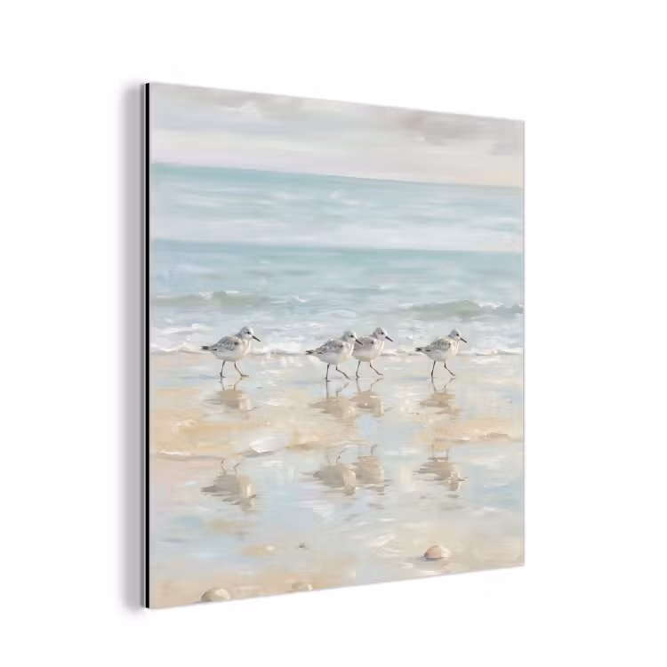 Aluminium schilderij - Vogels - Strand - Zee — 1