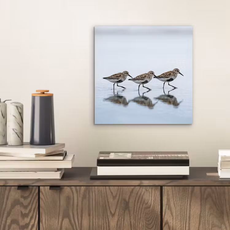 Aluminium schilderij - Vogels - Water - Grijs — 2