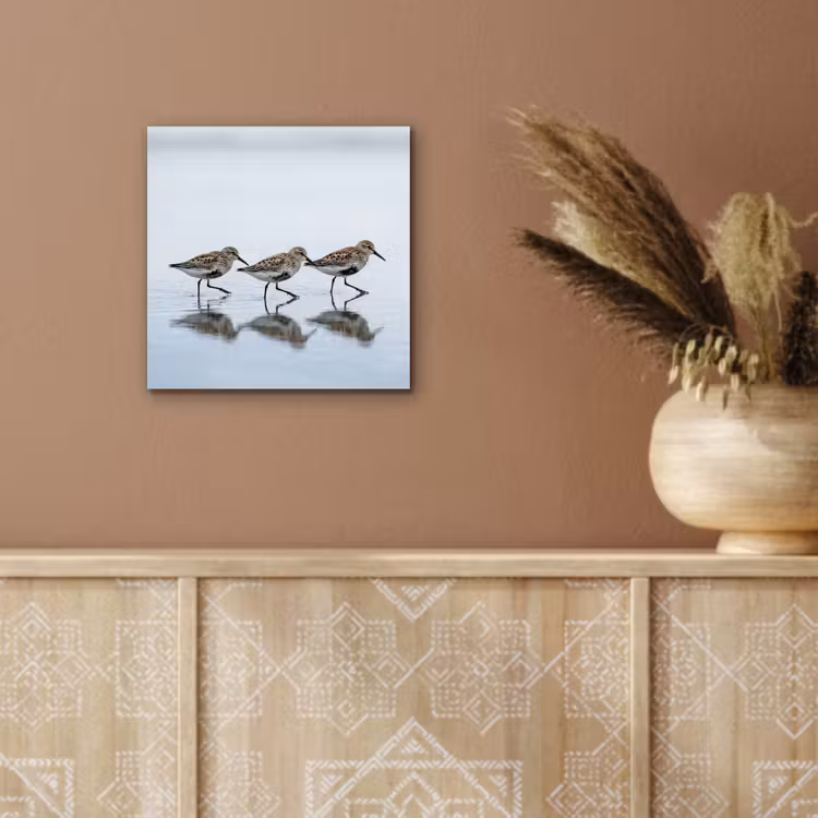 Aluminium schilderij - Vogels - Water - Grijs — 5