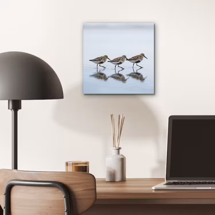Aluminium schilderij - Vogels - Water - Grijs — 6