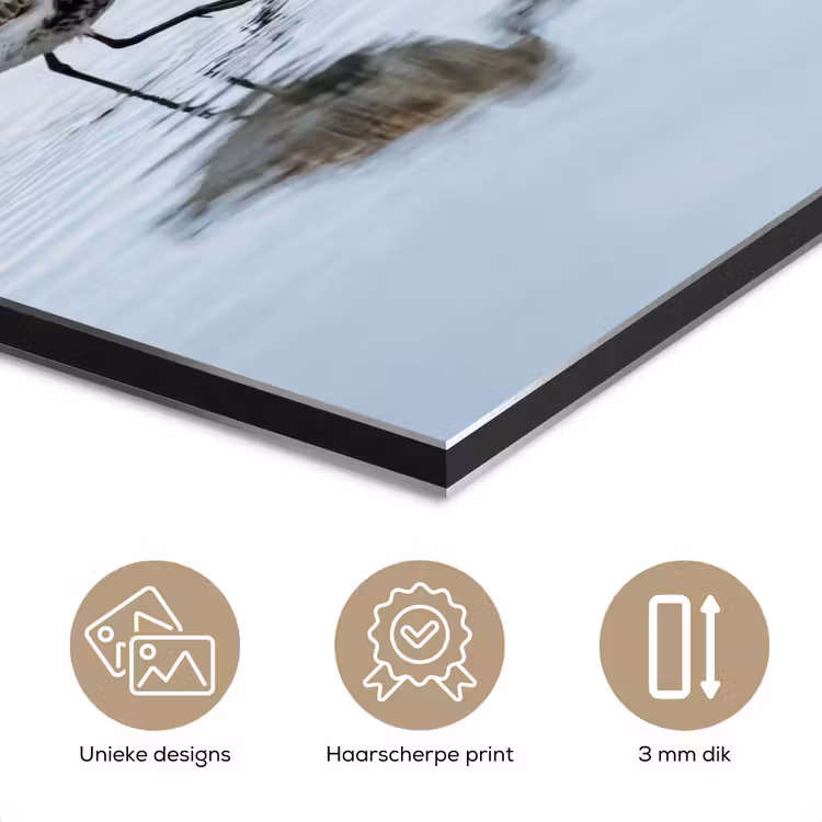 Aluminium schilderij - Vogels - Water - Grijs — 7