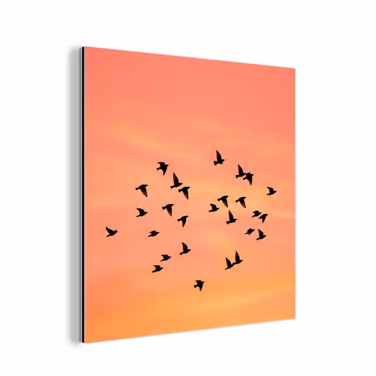 Aluminium schilderij - Zwerm - Vogels - Oranje — 1