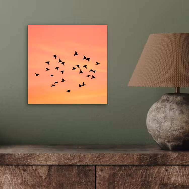 Aluminium schilderij - Zwerm - Vogels - Oranje — 3