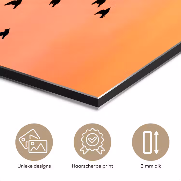 Aluminium schilderij - Zwerm - Vogels - Oranje — 7