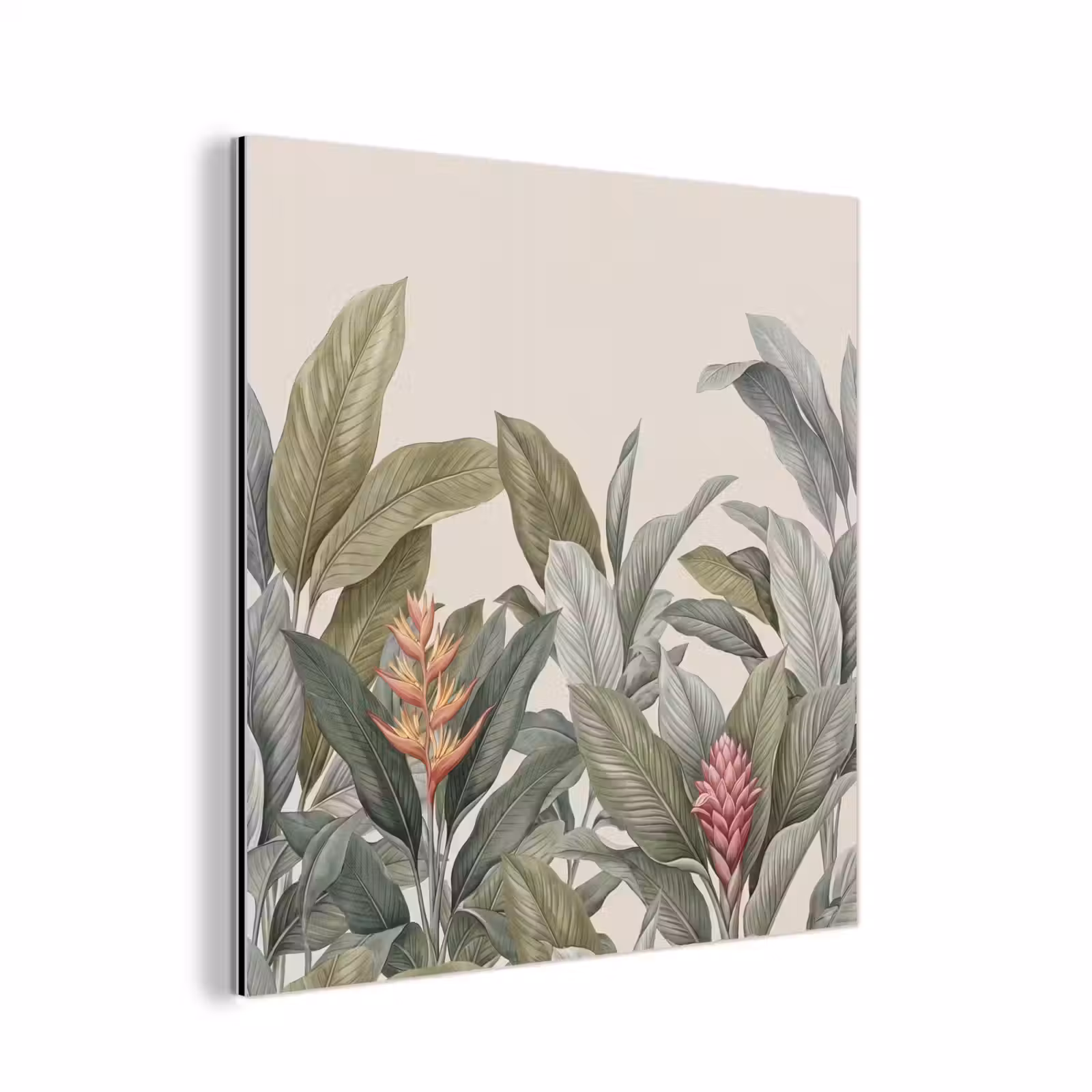 Aluminium schilderij - Tropisch - Planten - Modern - Groen — 1