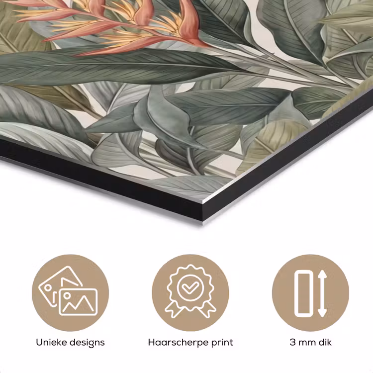 Aluminium schilderij - Tropisch - Planten - Modern - Groen — 7