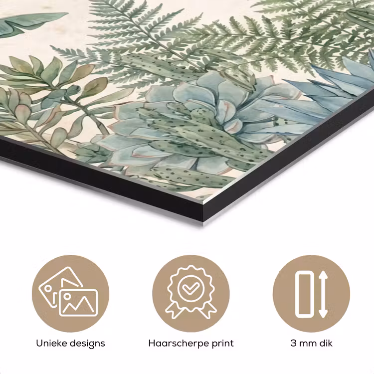 Aluminium schilderij - Woestijn - Planten - Groen — 7