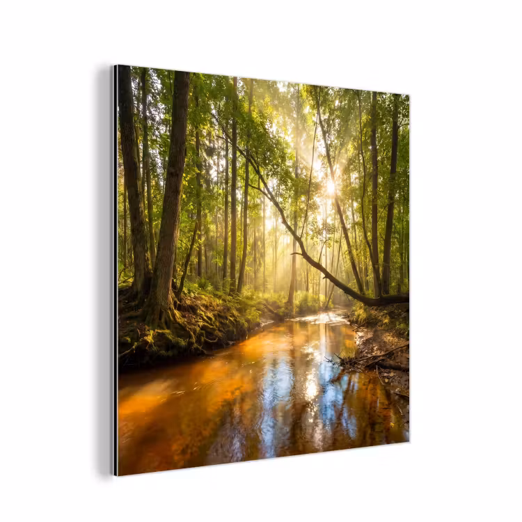 Aluminium schilderij - Bos - Beek - Zonlicht - Natuur - Groen — 1