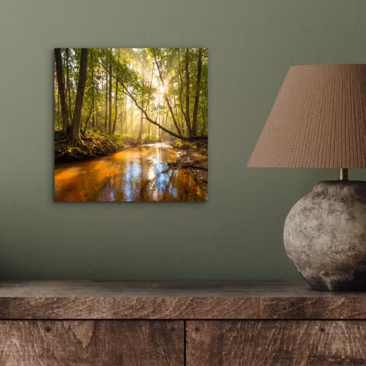 Aluminium schilderij - Bos - Beek - Zonlicht - Natuur - Groen — 3