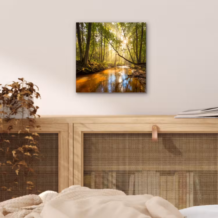 Aluminium schilderij - Bos - Beek - Zonlicht - Natuur - Groen — 4