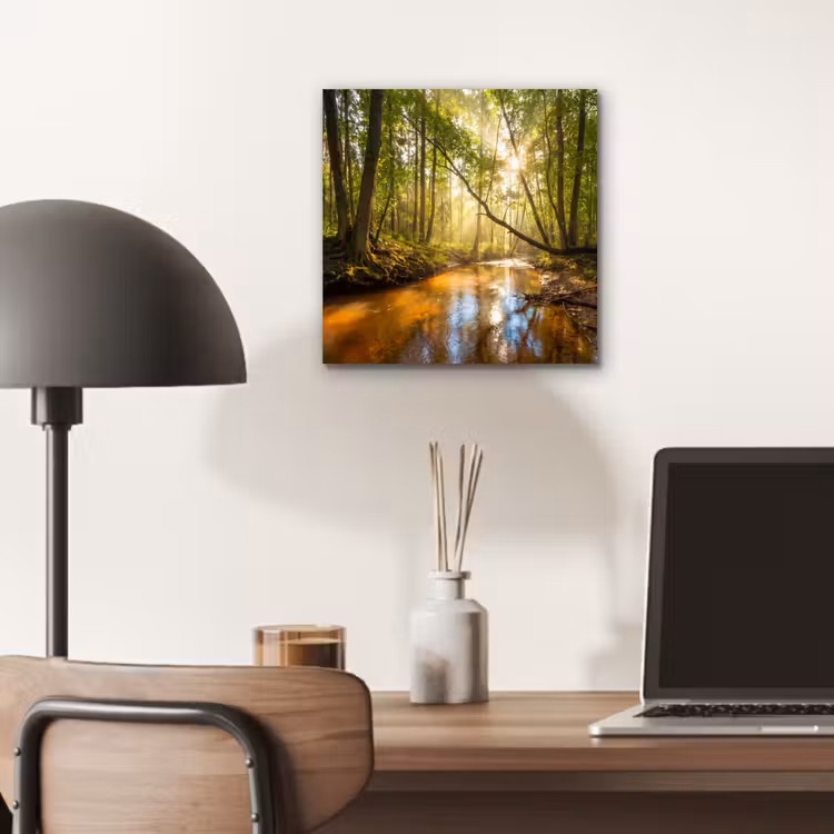 Aluminium schilderij - Bos - Beek - Zonlicht - Natuur - Groen — 6