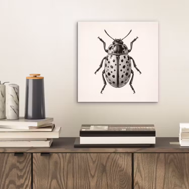 Aluminium schilderij - Kever - Insect - Vintage — 2