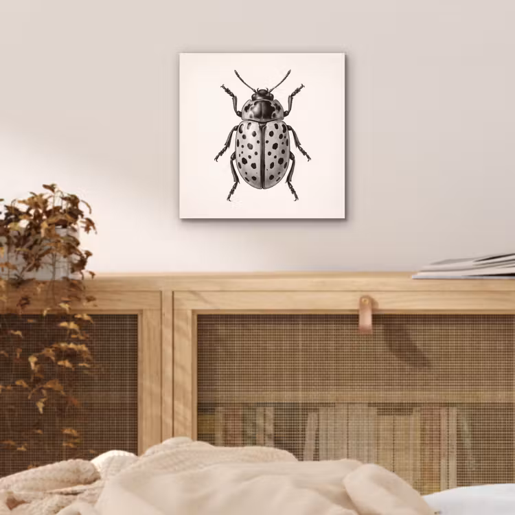 Aluminium schilderij - Kever - Insect - Vintage — 4