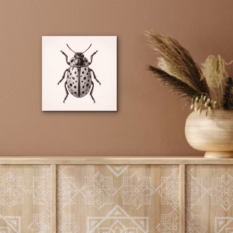Aluminium schilderij - Kever - Insect - Vintage — 5