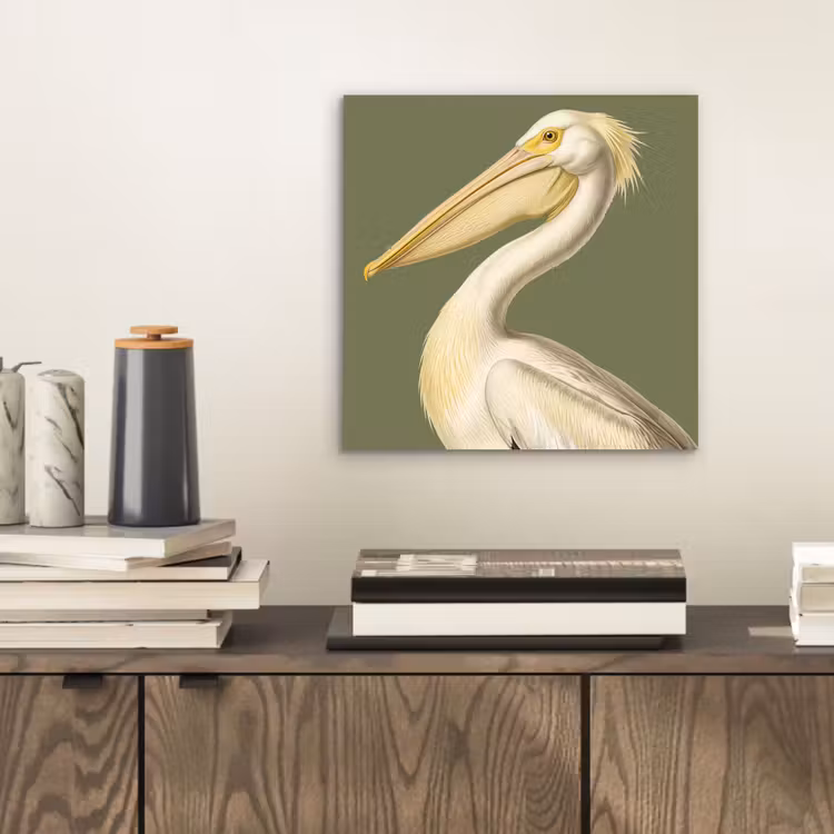 Aluminium schilderij - Pelikaan - Wit - Vogel - Klassiek - Natuur — 2
