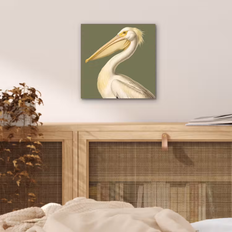 Aluminium schilderij - Pelikaan - Wit - Vogel - Klassiek - Natuur — 4