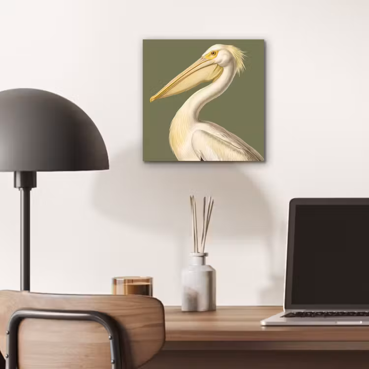Aluminium schilderij - Pelikaan - Wit - Vogel - Klassiek - Natuur — 6