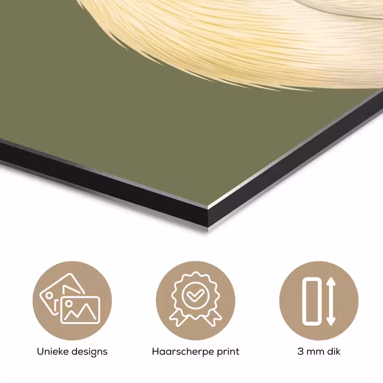Aluminium schilderij - Pelikaan - Wit - Vogel - Klassiek - Natuur — 7