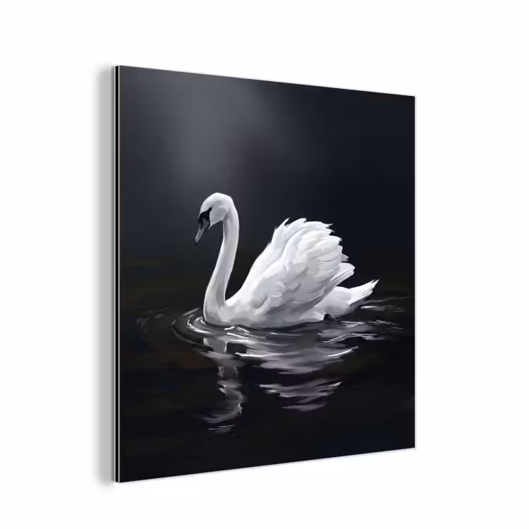 Aluminium schilderij - Zwaan - Water - Natuur - Realistisch - Wit — 1