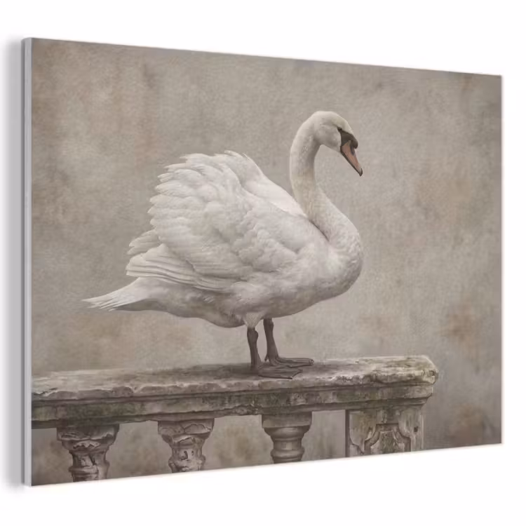 Akoestisch schilderij - Zwaan - Elegant - Dieren - Wit — 1