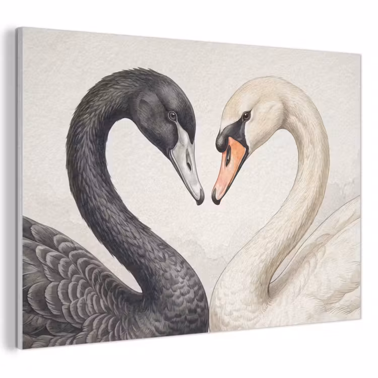 Akoestisch schilderij - Zwanen - Hartvorm - Dieren — 1