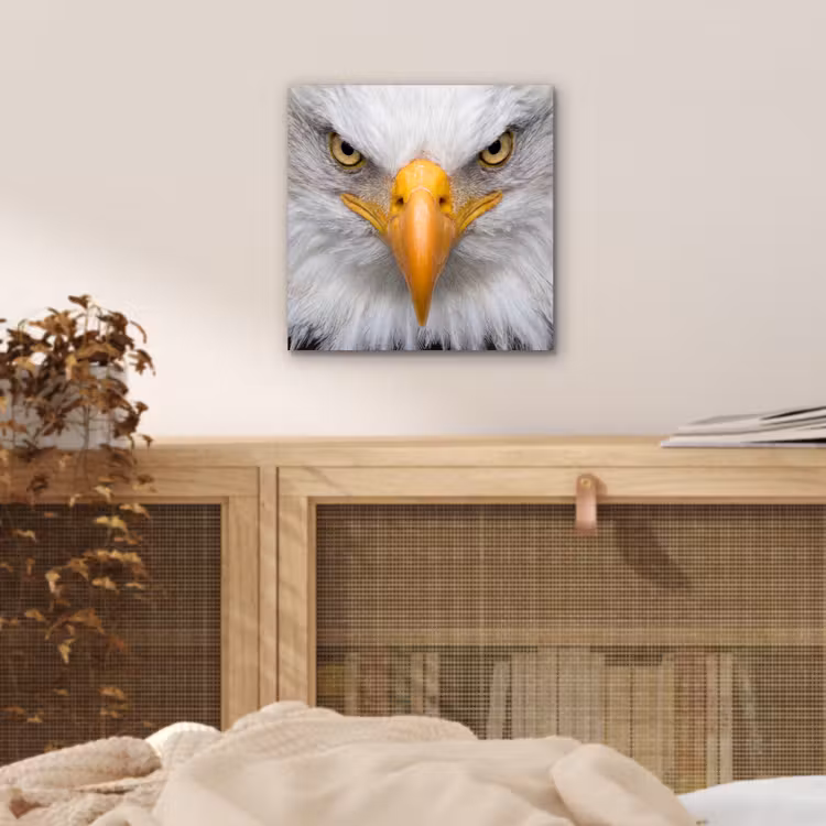 Aluminium schilderij - Amerikaans - Zeearend - Portret - Geel — 4